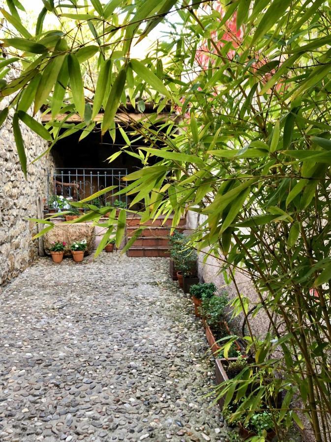 La Posada De Lola El Molar Exteriér fotografie